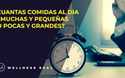 CUANTAS COMIDAS AL DIA- ¿MUCHAS Y PEQUEÑAS O POCAS Y GRANDES?
